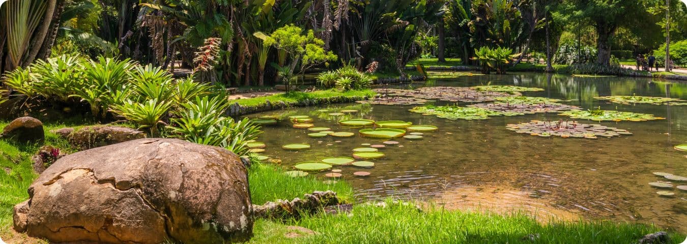 Jardim Botânico, Rio de Janeiro, Brasil
